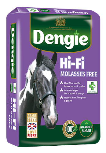 Hi-fi Molasses Free